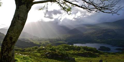 Ireland Explorer Tour: Ireland: Coastal Hikes, The Beara Peninsula & Killarney National Park
