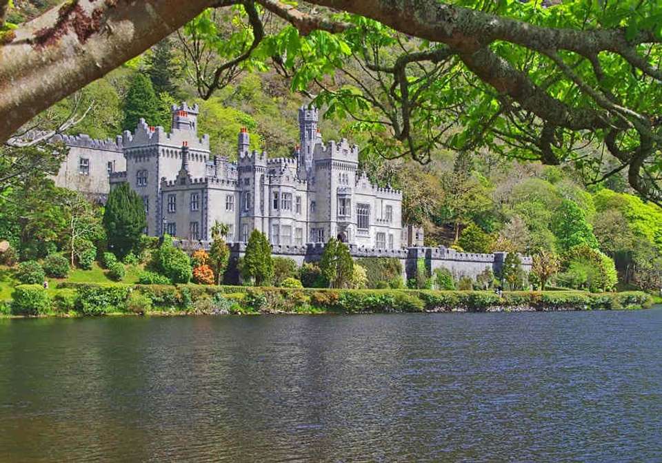 Ireland in Depth - undefined - Image 15