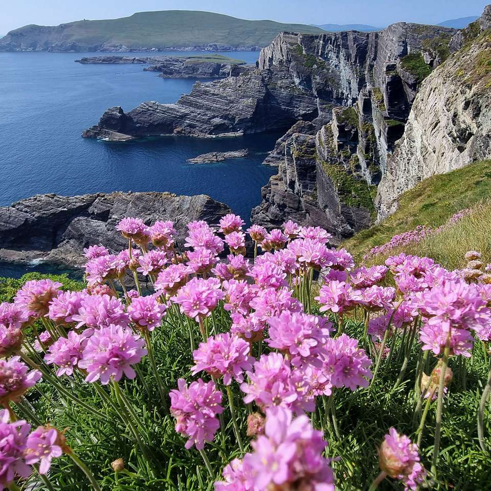 Ireland's Icons - Premium - Brendan Vacations - Ireland - Image 5