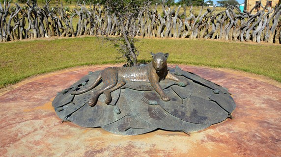 Image 5 of 8
