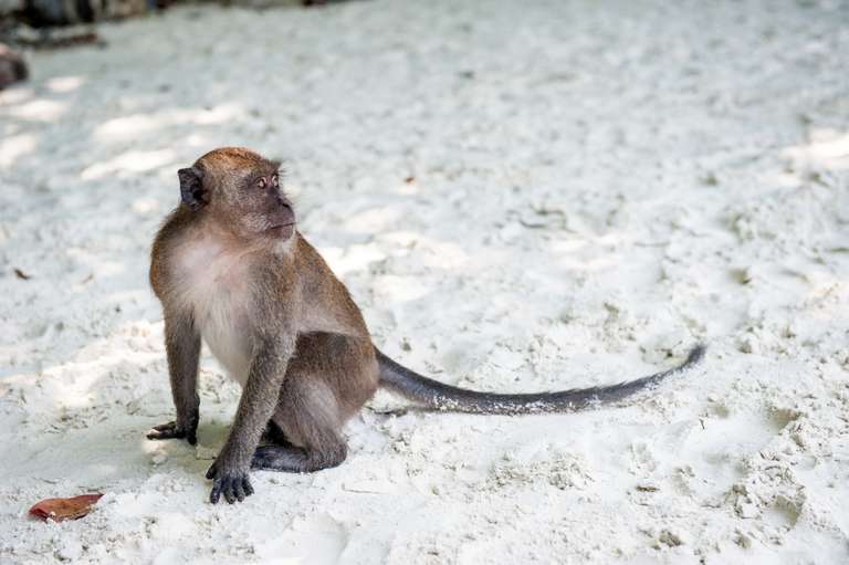 Island Escape, 12 Days (option 2) trip - alternative tour available