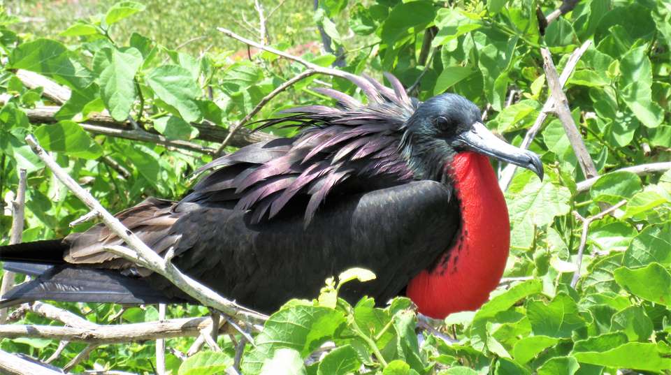 island hopping Galapagos - Andean Summit Adventure - Ecuador
