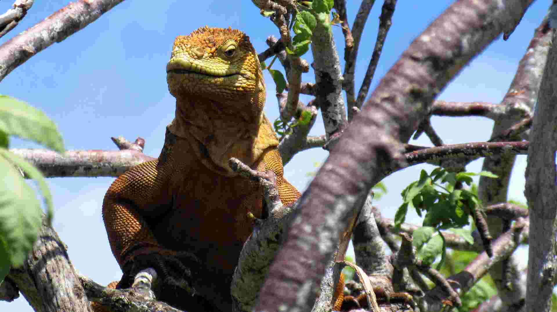 island hopping Galapagos
