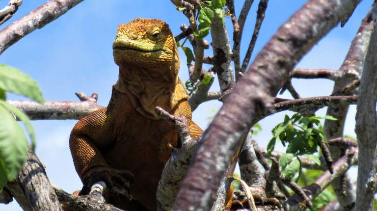 island hopping Galapagos trip - alternative tour available