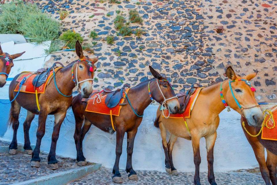 Island Hopping Greek Islands Delights: Mykonos, Paros, Santorini - Destination Services - Greece - Image 9
