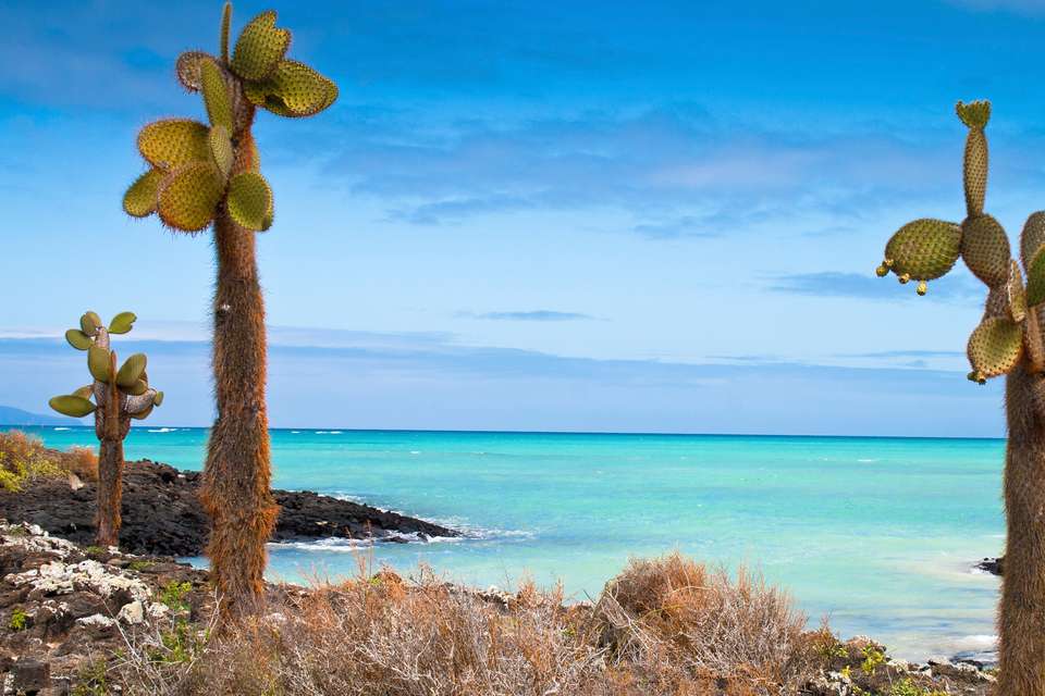 Island Hopping in the Galapagos - Exodus Adventure Travels - Ecuador - Image 8