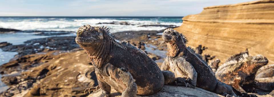 Island Hopping in the Galapagos - Exodus Adventure Travels - Ecuador - Image 9