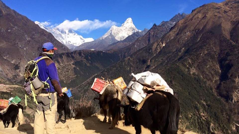 Island Peak Climbing with Everest Base Camp and Gokyo - Buddha Treks And Expedition - Nepal - Image 4