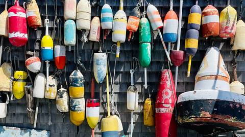 North America Eco Tours: Islands Of New England