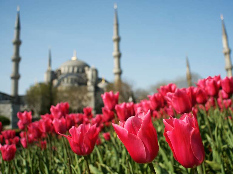 Istanbul & Gallipoli - 5 days trip - alternative tour available