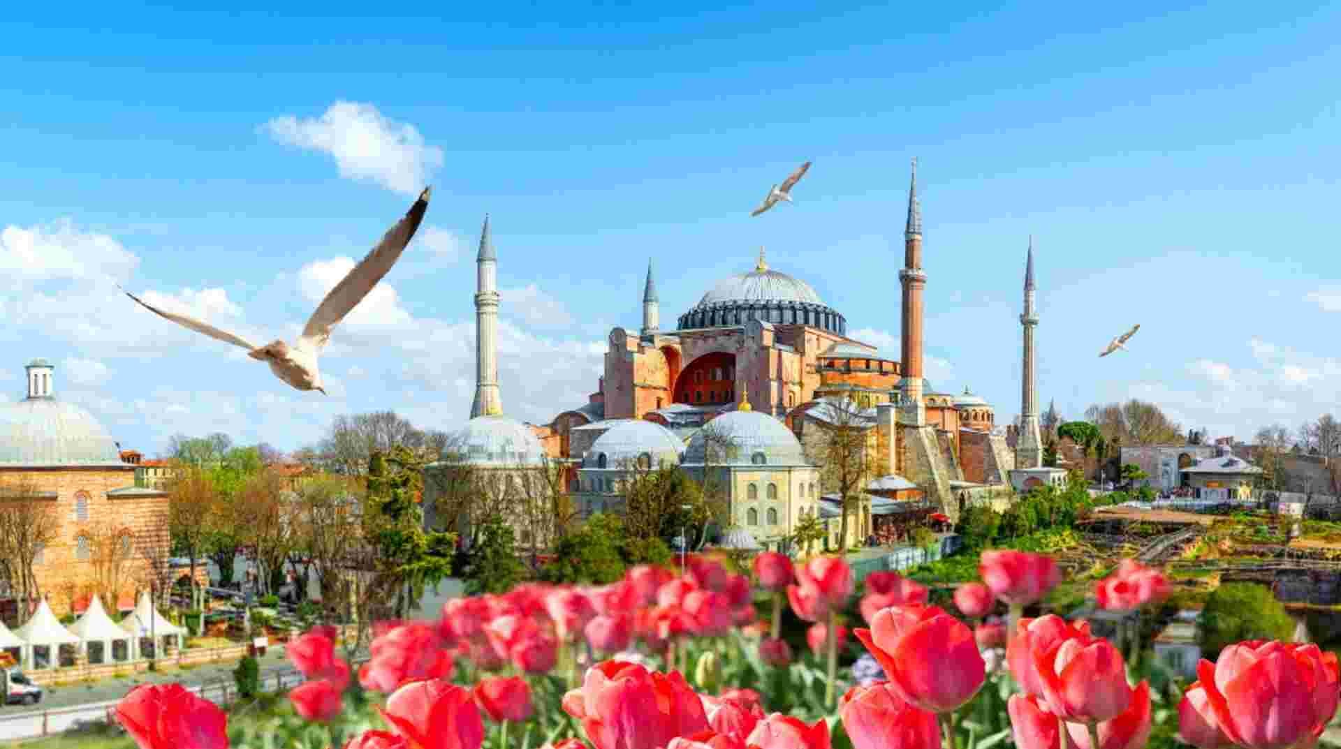 Istanbul classics private walking tour