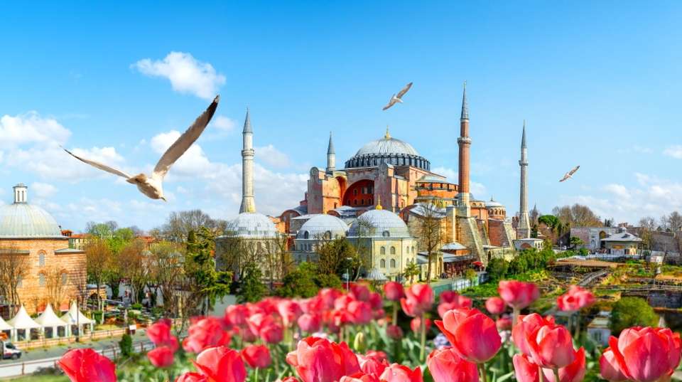 Istanbul classics private walking tour - Los Picos Travel - Turkey - Image 1