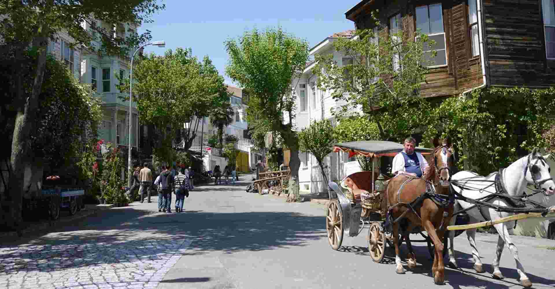 Istanbul Princes Island Tour
