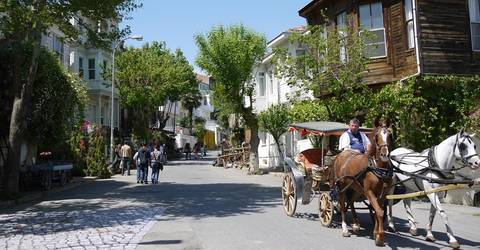 Istanbul Princes Island Tour - August 2027