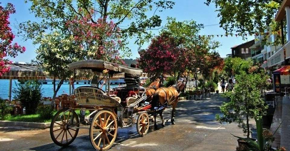 Istanbul Princes Island Tour - All Tours Istanbul-azure Turizm - Turkey - Image 2