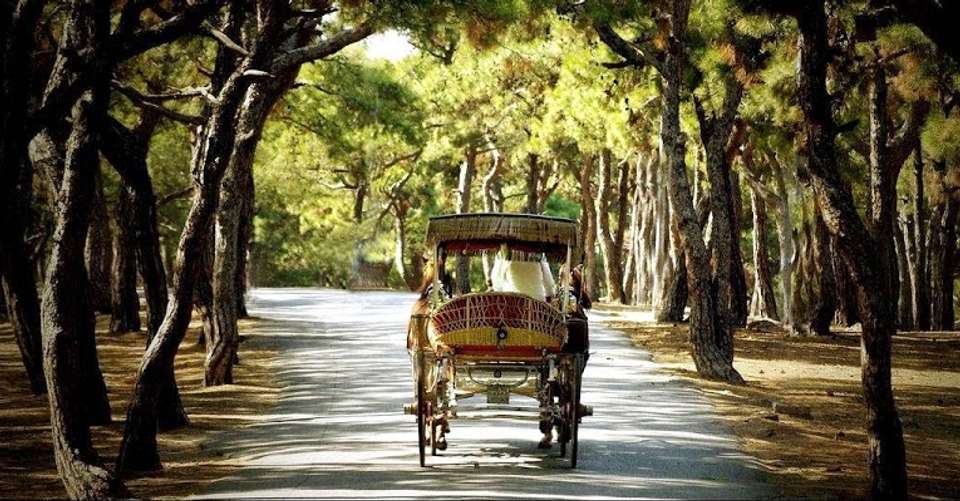 Istanbul Princes Island Tour - All Tours Istanbul-azure Turizm - Turkey - Image 3