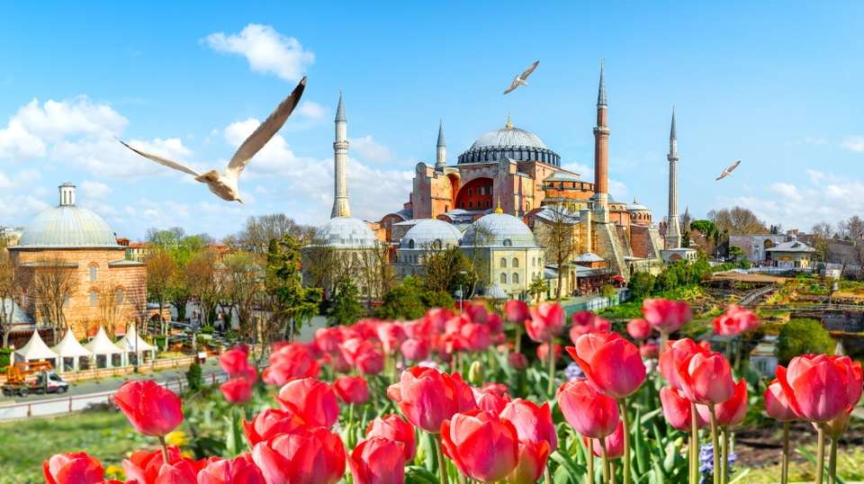 Istanbul private custom tour: 1-4 days - Los Picos Travel - Turkey - Image 3