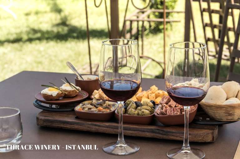 Istanbul Thrace Winery Group Tour trip - alternative tour available