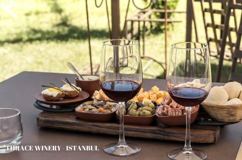 Istanbul Thrace Winery Group Tour - September 2025