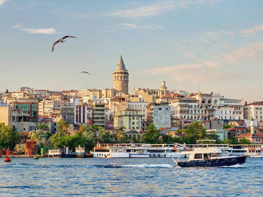TOP TOURS