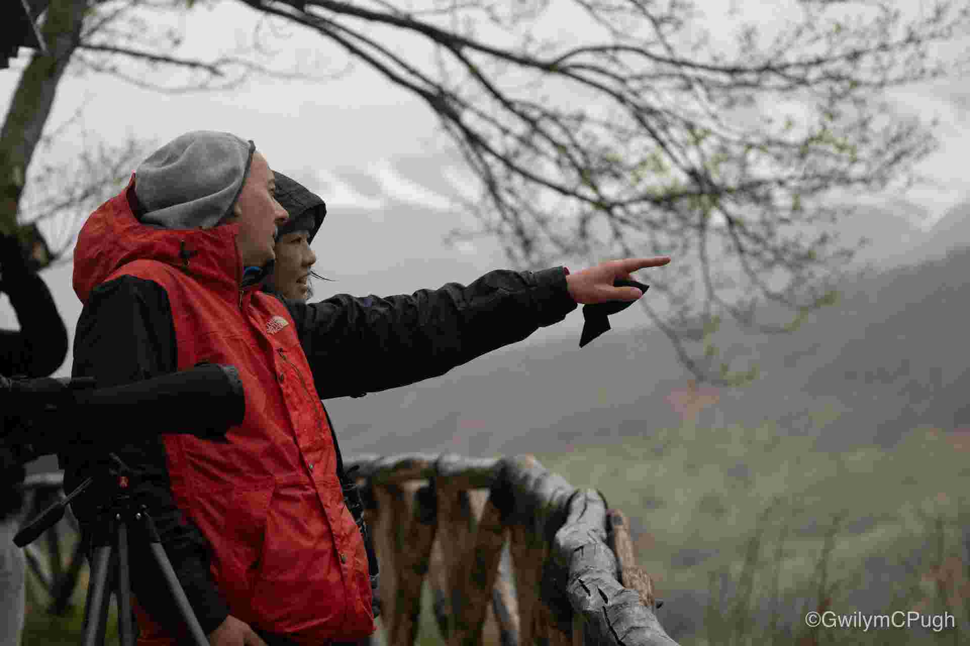 Italian Apennines: Walks & Wildlife
