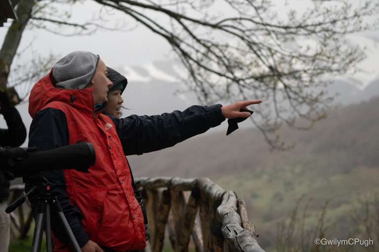 Italian Apennines: Walks & Wildlife trip - alternative tour available