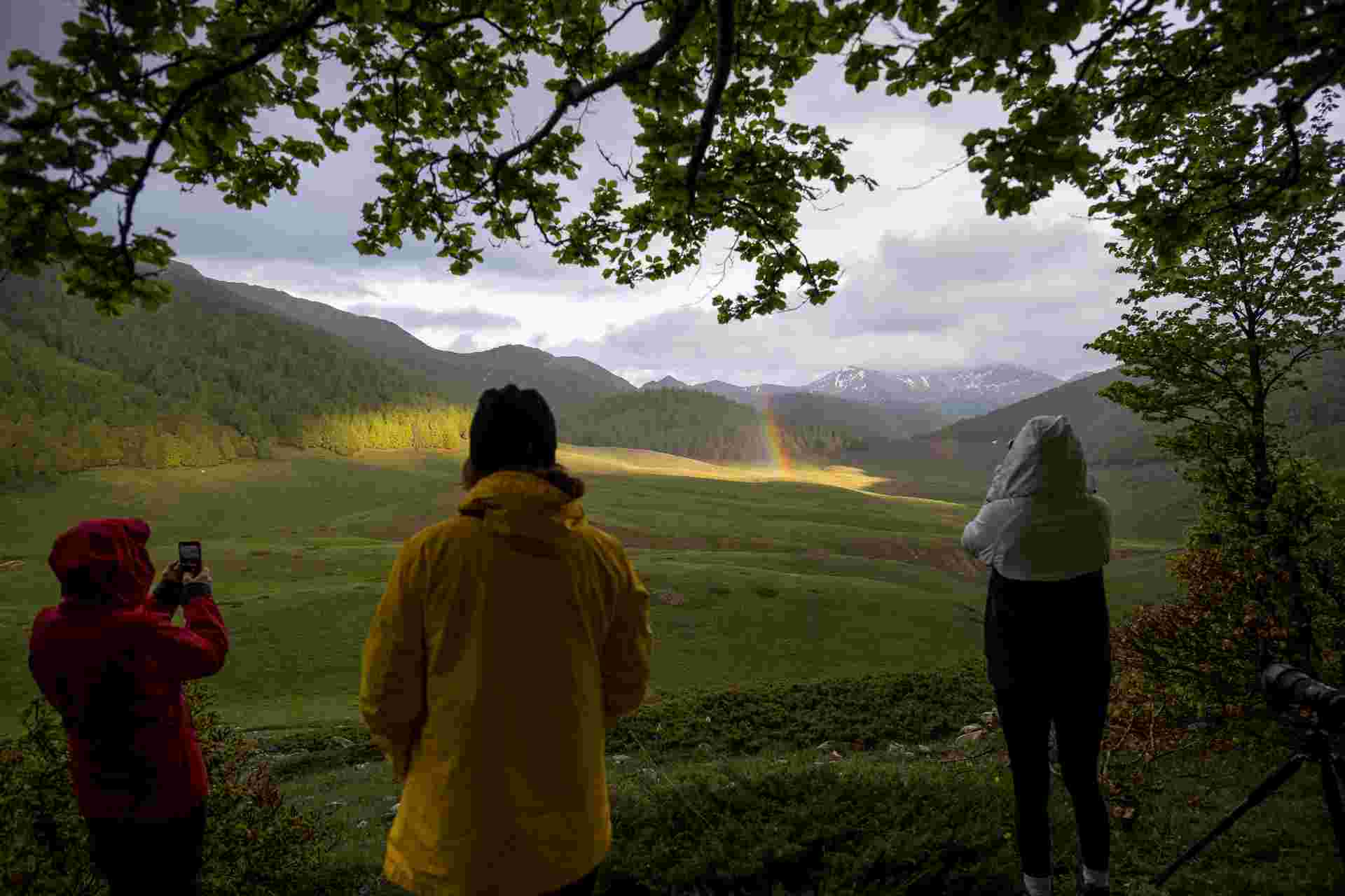 Italian Apennines: Walks & Wildlife