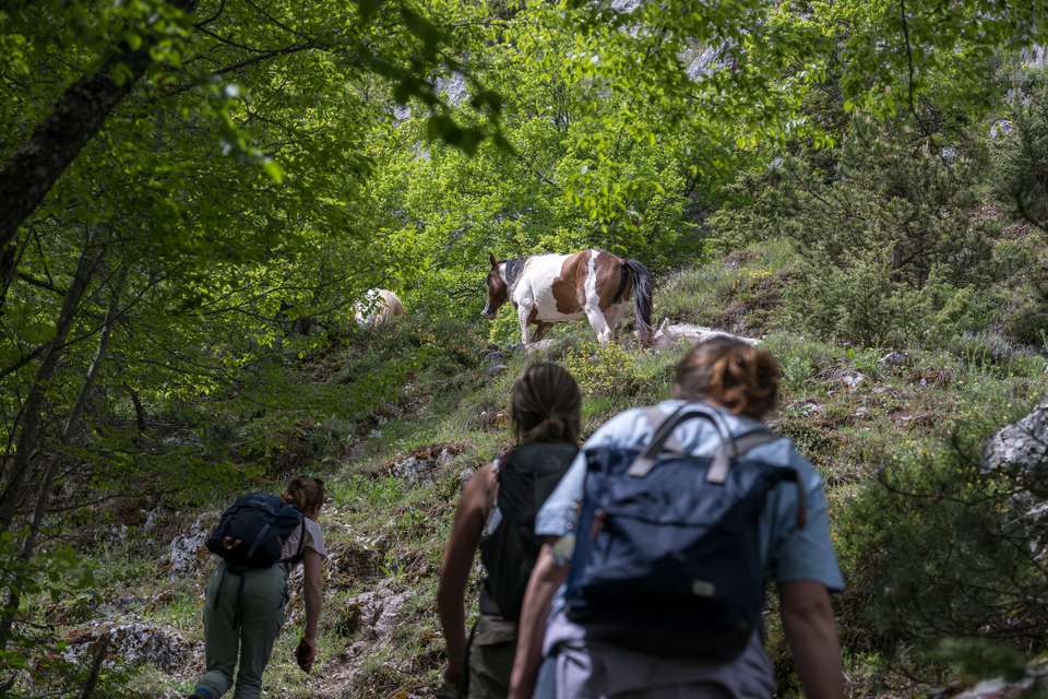 Italian Apennines: Walks & Wildlife - Exodus Adventure Travels - Italy - Image 20