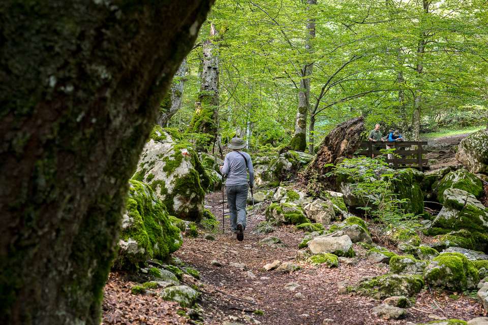 Italian Apennines: Walks & Wildlife - Exodus Adventure Travels - Italy - Image 16