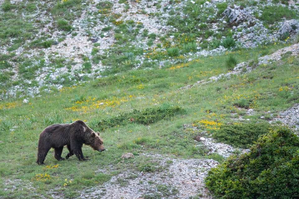 Italian Apennines: Walks & Wildlife - Exodus Adventure Travels - Italy - Image 14