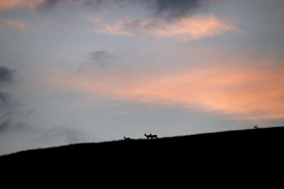 Italian Apennines: Walks & Wildlife - Exodus Adventure Travels - Italy - Image 12