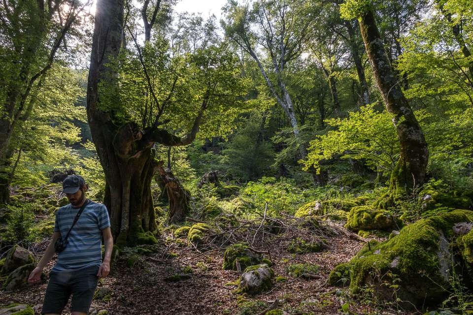 Italian Apennines: Walks & Wildlife - Exodus Adventure Travels - Italy - Image 7