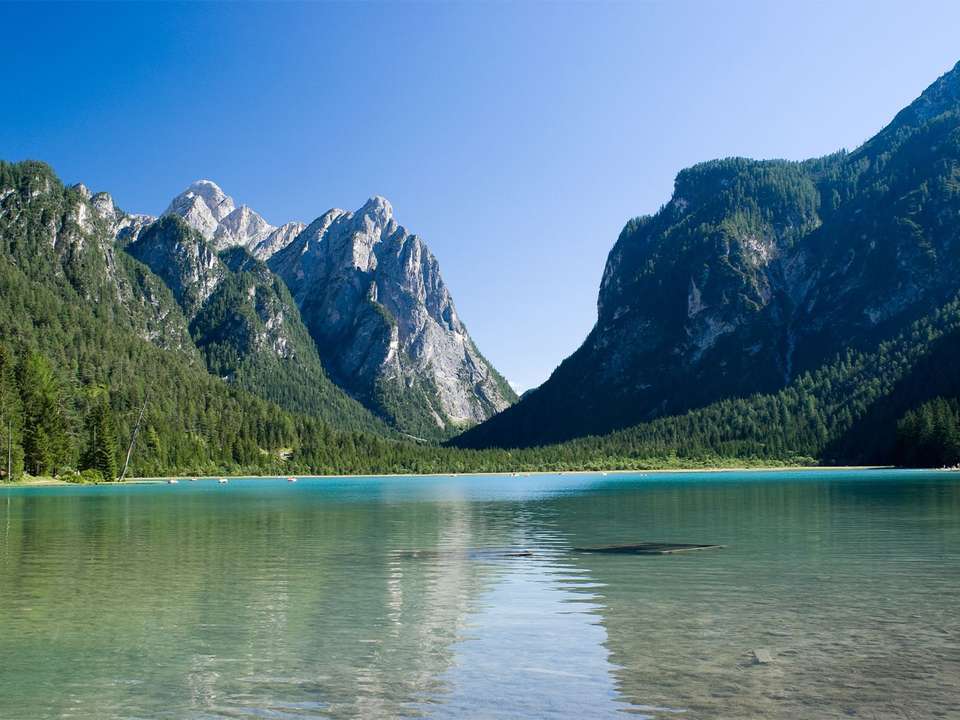 Image 7 of 8