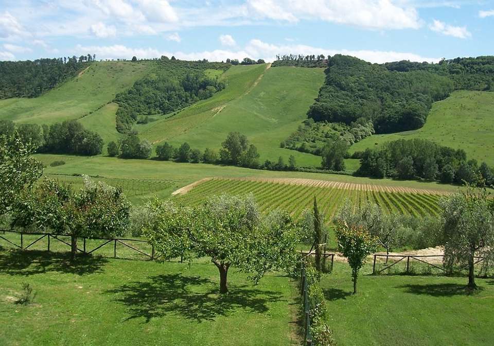 Italian Treasures - undefined - Image 4