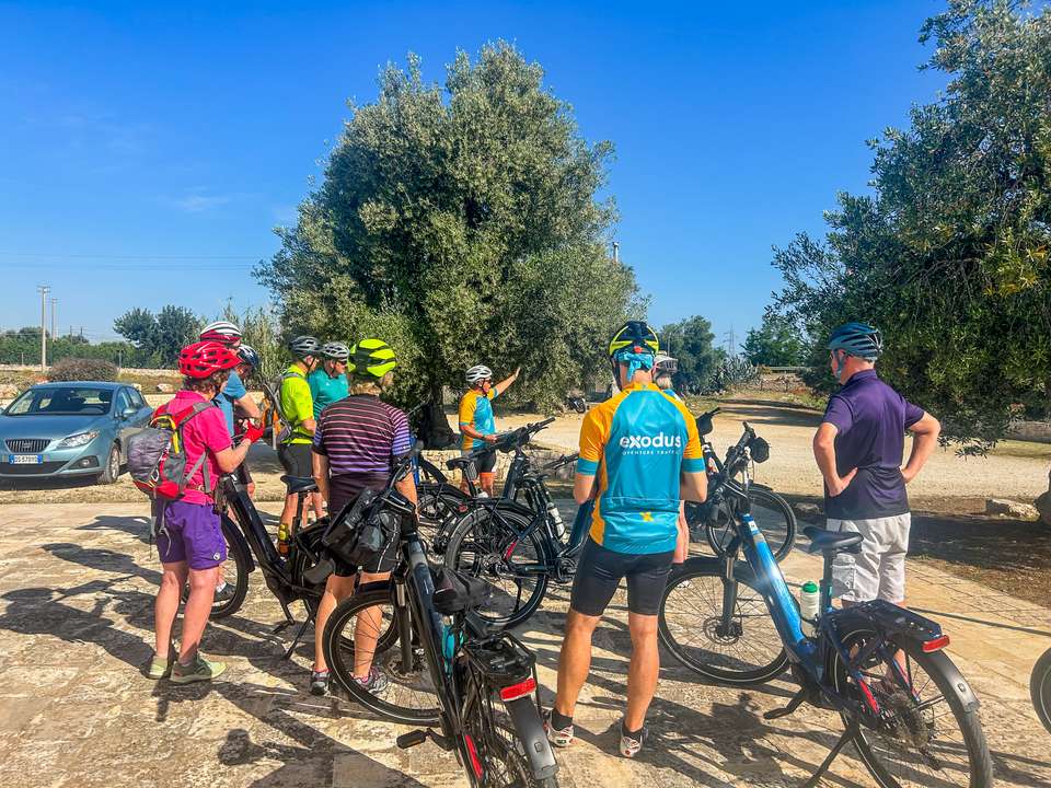 Italy Coast to Coast by E-bike: Puglia to Amalfi Coast - Exodus Adventure Travels - Italy - Image 13