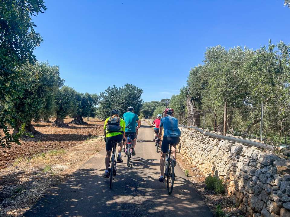 Italy Coast to Coast by E-bike: Puglia to Amalfi Coast - Exodus Adventure Travels - Italy - Image 6