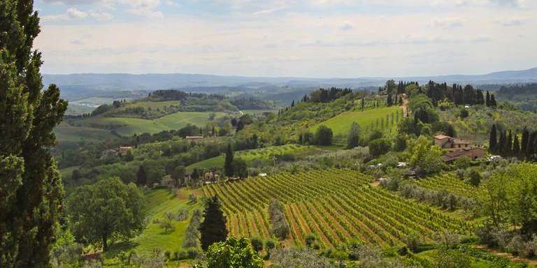 Italy: Tuscany and Umbria Vineyard Walks trip - alternative tour available