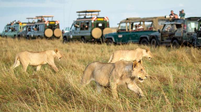 JAMBO PACK SAFARI - 9 days
