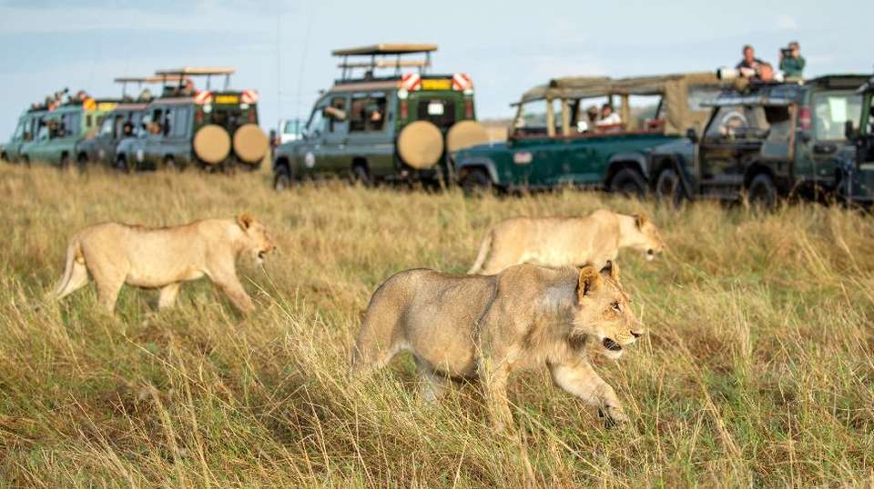 JAMBO PACK SAFARI - Sir Michaels Tours And Safaris - Kenya - Image 1