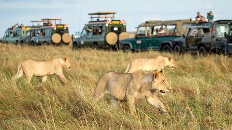 Jambo Pack Safari - 9 Days