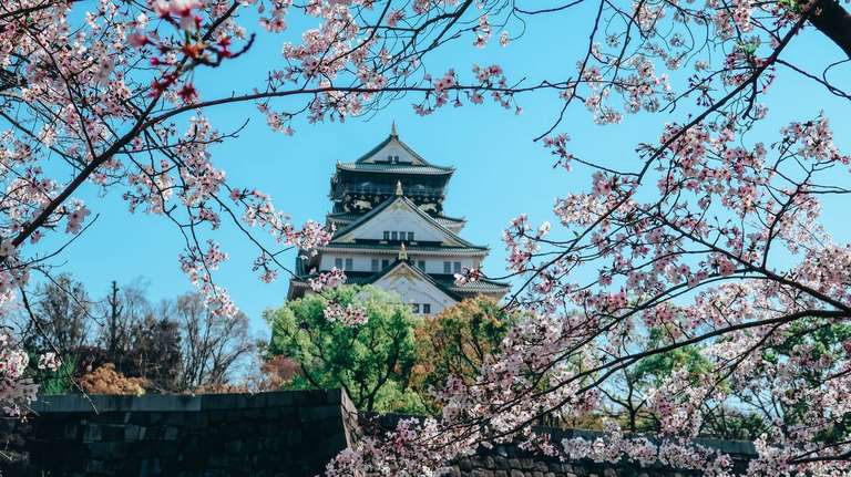 Japan 14 Day Adventure Tour