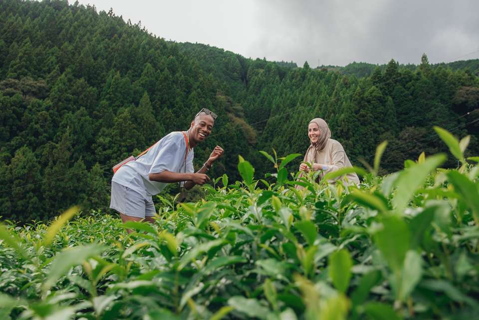 Japan Adventure - undefined - Image 11