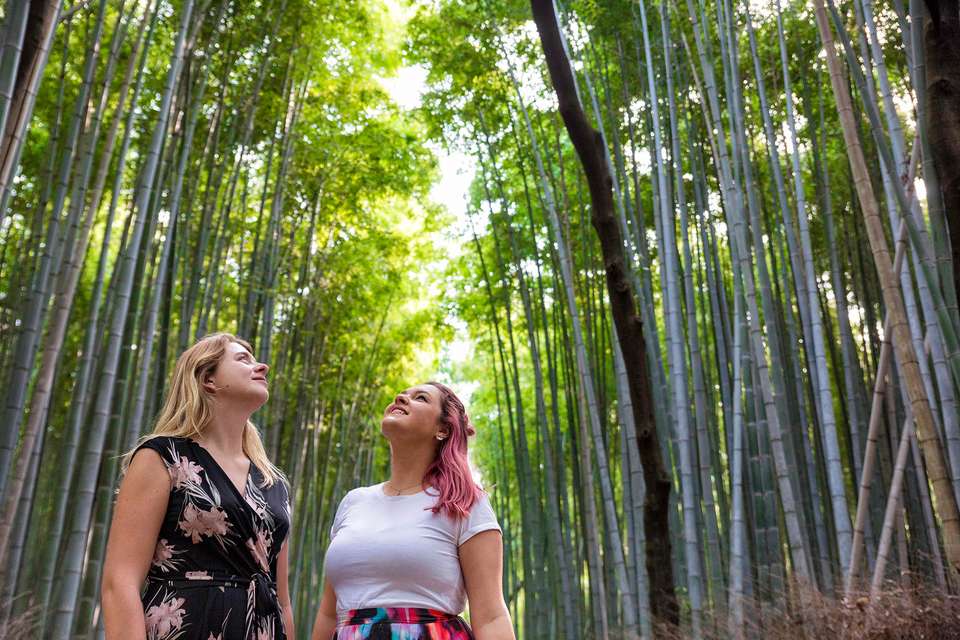 Japan Adventure 17 Day - Intro Travel - Japan