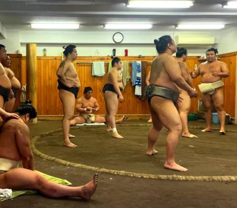 Japan Alpine & Cultural Discovery Tour