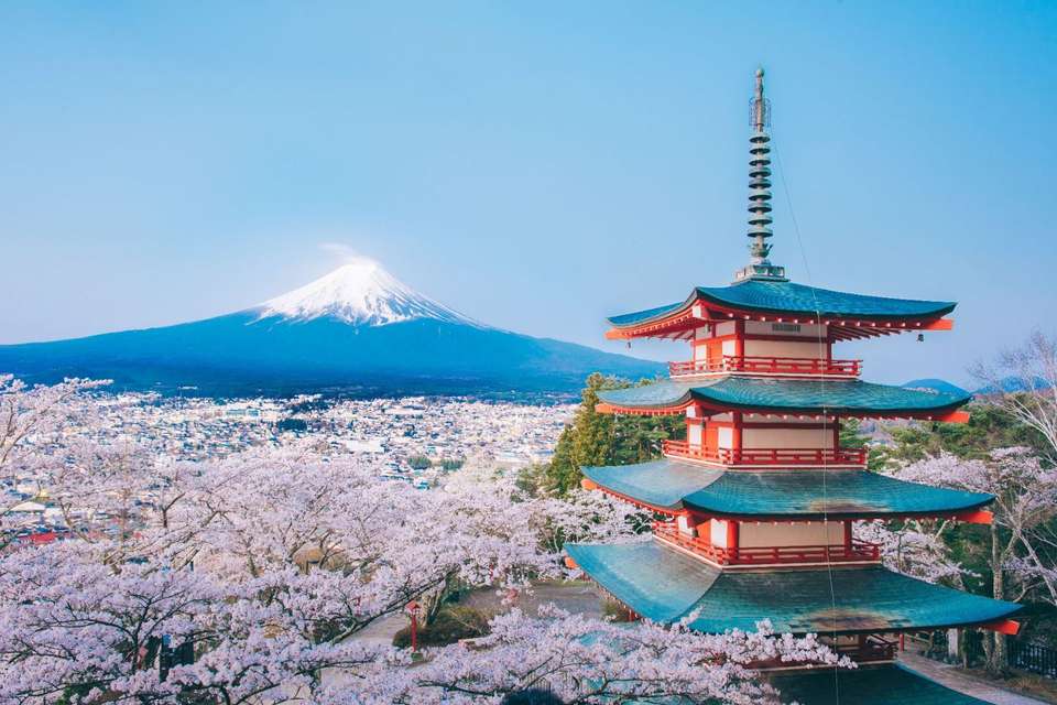 Japan & South Korea Cherry Blossom Tour - Tweet World Travel - South Korea - Image 13