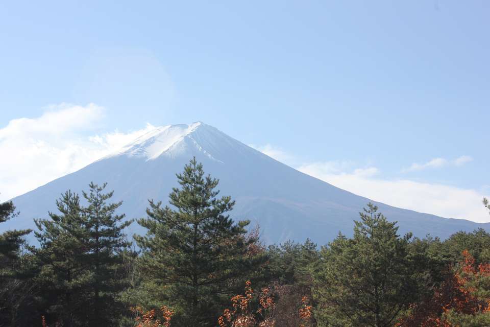 Image 15 of 16