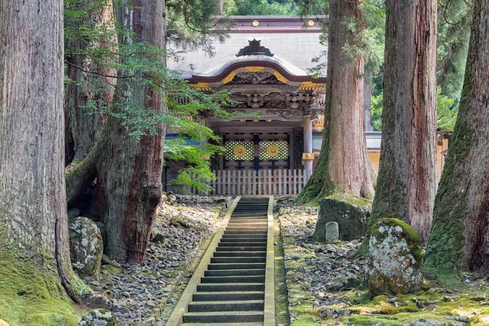Japan Awaits You - Europamundo - Japan - Image 7
