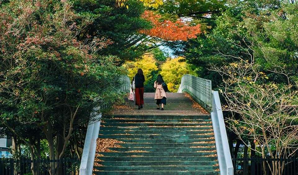 Japan Backpacker Adventure 13D/12N - Bamba - Japan - Image 2