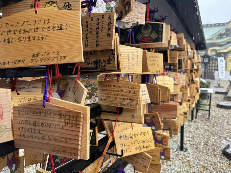 Japan Cherry Blossom Discovery Tour - Tweet World Travel - Japan - Image 3