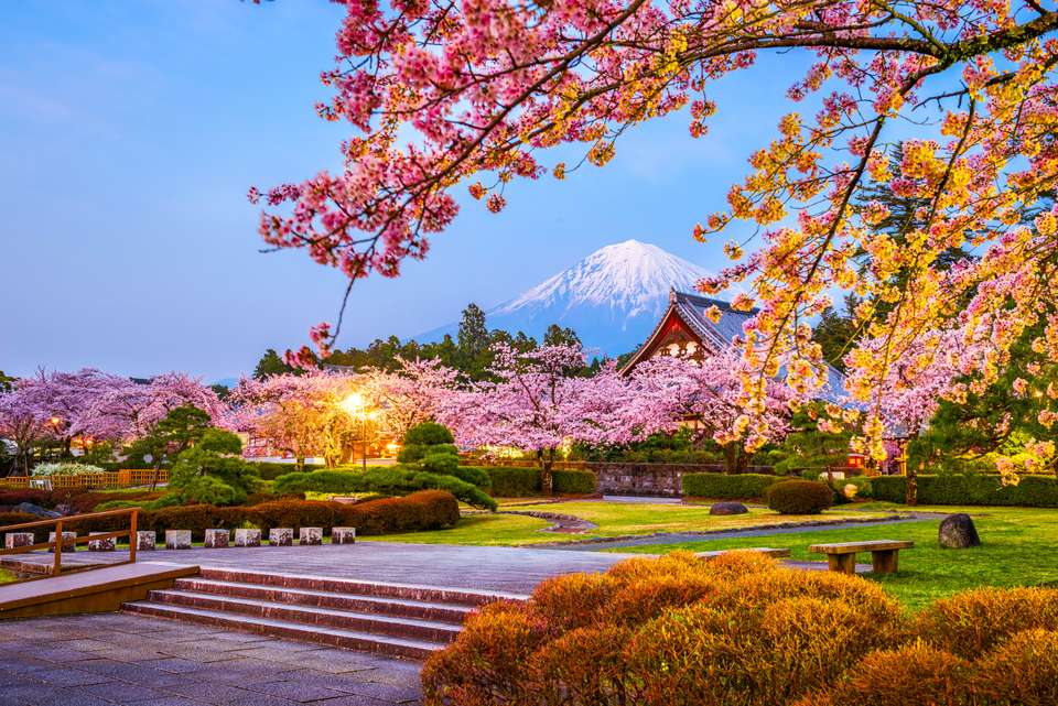 Japan Cherry Blossom Discovery Tour - Tweet World Travel - Japan - Image 4